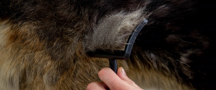De-shedding Treatment